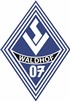 SV Waldhof Vorschau